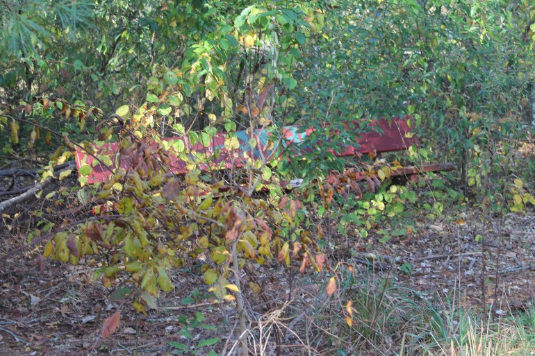 IMG_4005.JPG